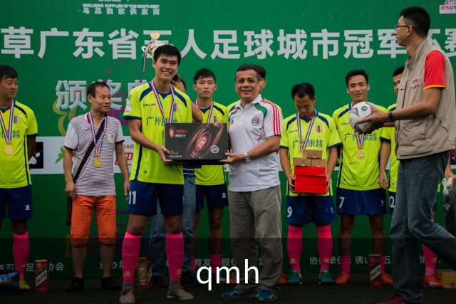 qmh公司简介